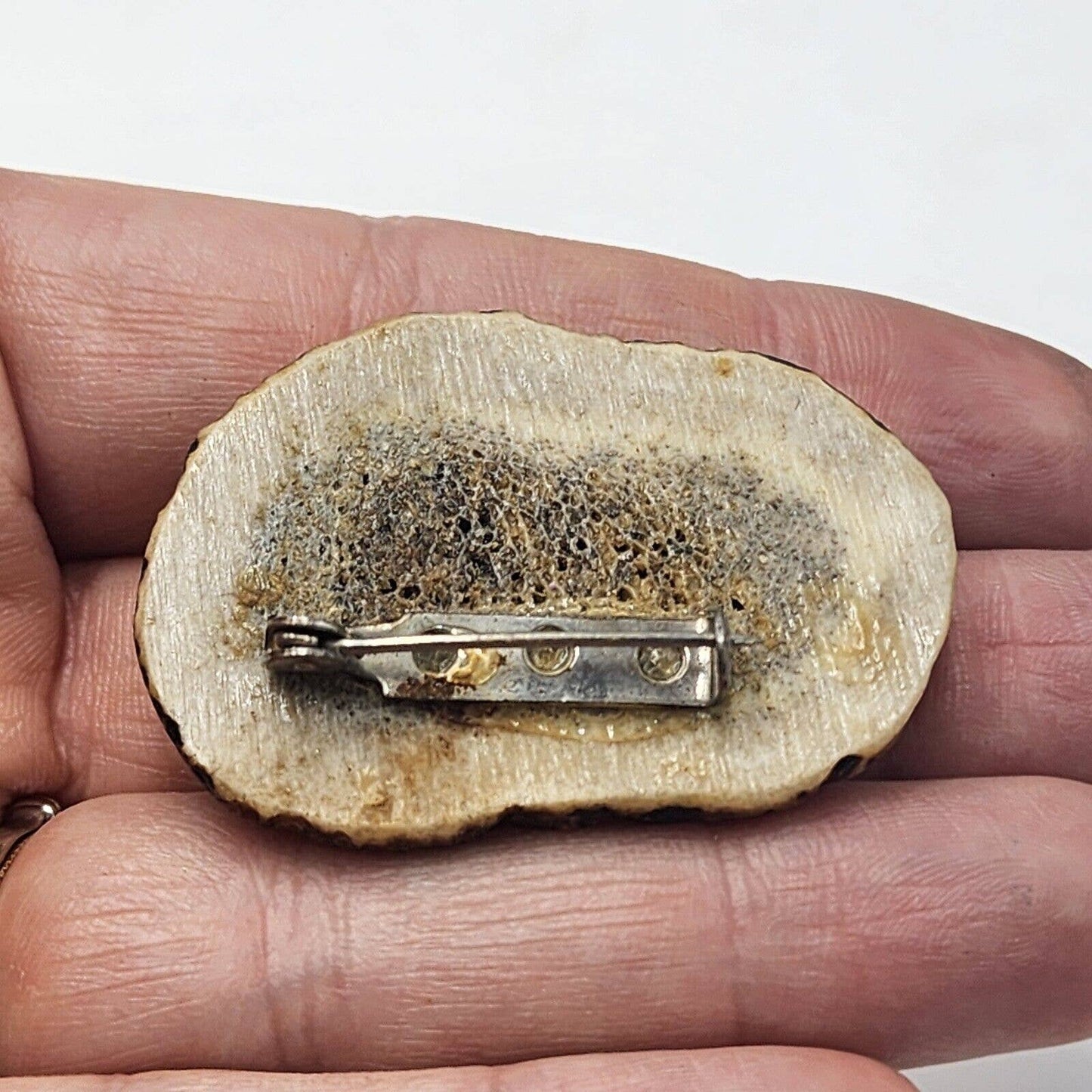 Vintage Antler Slice with Covered Wagon Brooch Pin Souvenirs Rustic Hunting